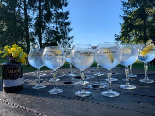 a group of wine glasses sitting on a wooden table at Jaagu-Mihkli Muhu Island in Ridasi