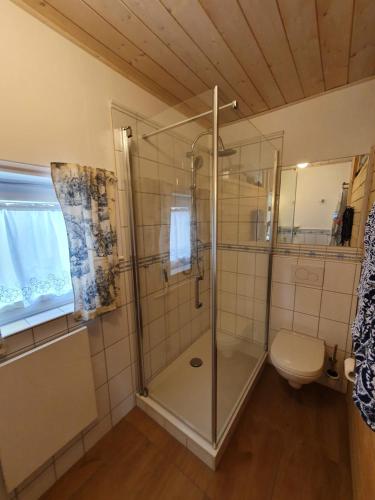 bagno con doccia e servizi igienici. di Pension am Kirschgarten a Gössweinstein