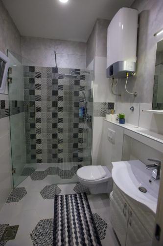 a bathroom with a shower and a toilet and a sink at PATRUS II in Subotica