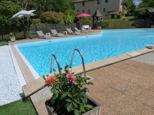 a pool with chairs and a plant next to it at Le Domaine du Terroir à 5 minutes des Grottes de Lascaux in La Chapelle-Aubareil
