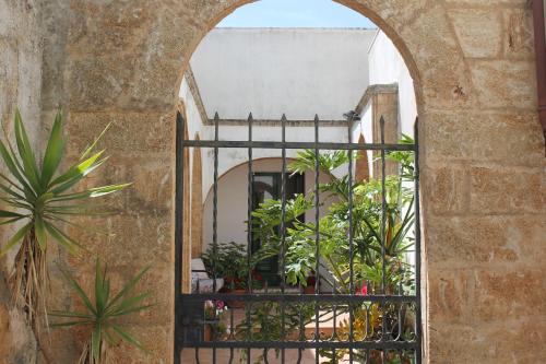 モルチャーノ・ディ・レウカにあるLo Studio - Camilla's Guesthouseの植物の入った建物のアーチ道