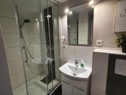 a bathroom with a shower and a sink and a mirror at Harz Dream - Vier Jahreszeiten in Hahnenklee-Bockswiese
