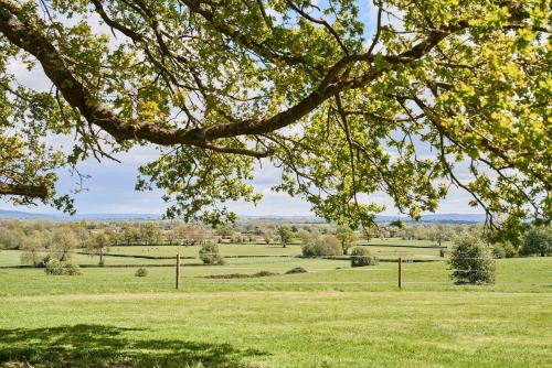 a view of a field from under a tree at Equestrian Lodge in Holmesfield