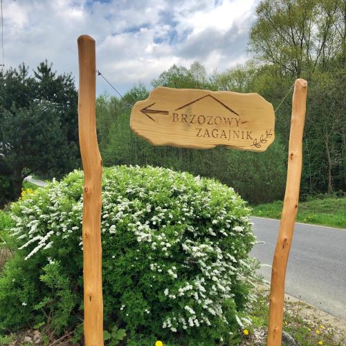 a sign for aeryonym academy in front of a bush at Przytulny Domek z Banią - Brzozowy Zagajnik MK in Brzozowa