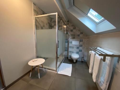 a bathroom with a shower and a toilet at La vieille maison in Cour-Cheverny
