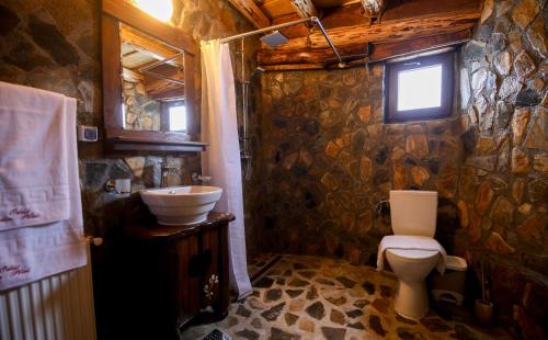 a stone bathroom with a toilet and a sink at Odai din Plai in Moieciu de Sus