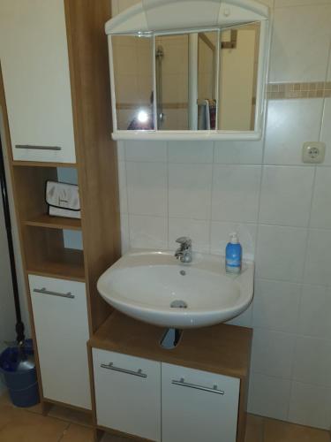 a bathroom with a sink and a mirror at Studio Schöne Aussicht mit Fahrradkeller am Rotharrsteig in Medebach