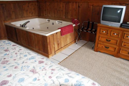 a bathroom with a tub and a tv and a bed at Alpine Crest Resort, a VRI resort in Helen