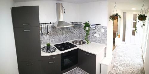 a kitchen with a stove and a sink at Hot Jacuzzi & Ice Bath Apartment in Ika