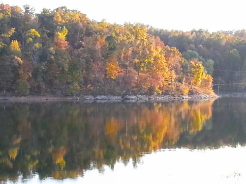 a view of a lake with fall foliage at Lakehouse has Spectacular View plus Easy Access! in Rogers
