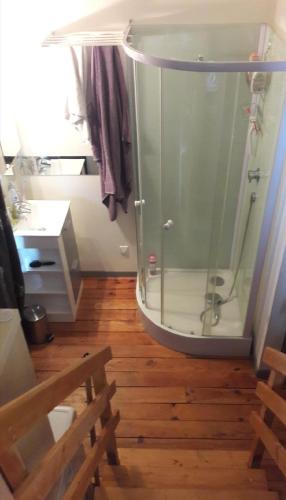 a shower with a glass door in a bathroom at Les mélèzes in Le Mont-Dore