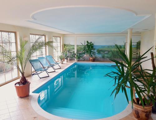 una gran piscina con 2 sillas azules y plantas en Ein Bett im Kornfeld - Haus Morgensonne - mit Innenpool, en Schönfeld