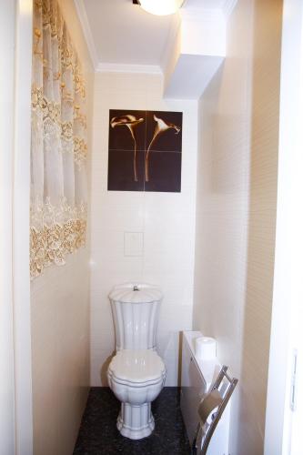 a bathroom with a toilet and a picture of birds at Club 218 Wellness Luxus Apartman in Siófok