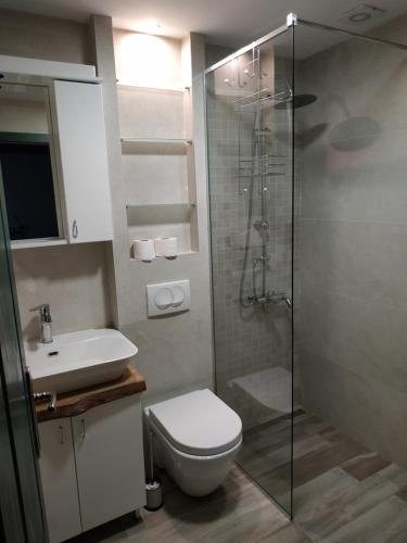 a bathroom with a shower and a toilet and a sink at STARA KOVAČNICA in Golubac
