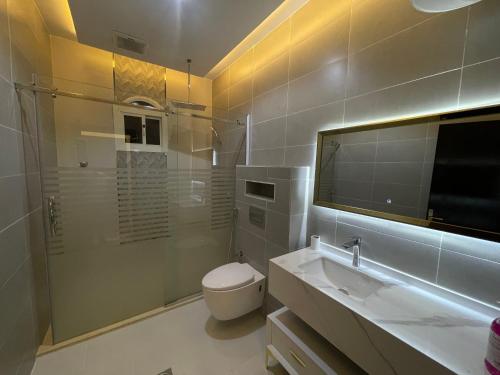 a bathroom with a toilet and a sink and a mirror at Luxury OVO Roof Villa in Taif