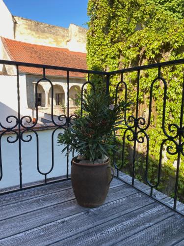 a potted plant sitting on a wooden deck at ALTSTADT-APARTMENTS Bad Radkersburg - Ihr Zuhause auf Reisen in Bad Radkersburg