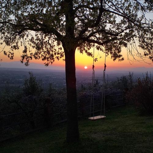 Paisaje cerca de este apartamento