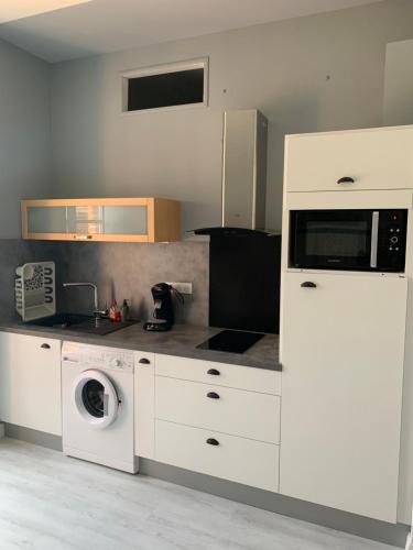 une cuisine avec un lave-linge et un micro-ondes dans l'établissement Studio coeur historique Albigeois, à Albi