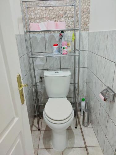 une salle de bain avec des toilettes avec une étagère au-dessus dans l'établissement Blanc de Tardy, à Saint-Étienne