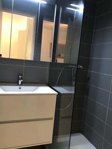 une salle de bain avec un lavabo et une douche avec un miroir dans l'établissement Studio cabine valras plage 300m de la mer, à Valras-Plage