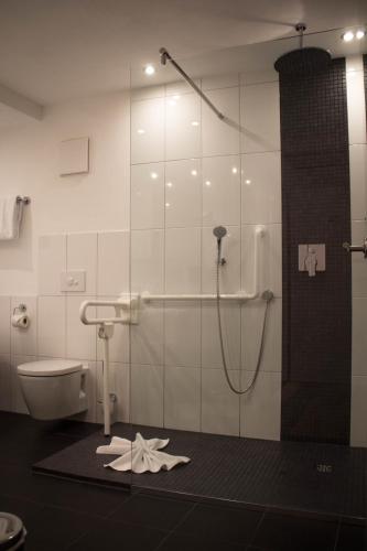 a bathroom with a toilet and a glass shower stall at Hotel-Restaurant Zur Traube in Altenahr