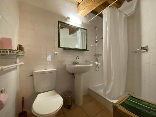 Bilik mandi di Orangerie de Cardet - Maison d'hôtes - B&B