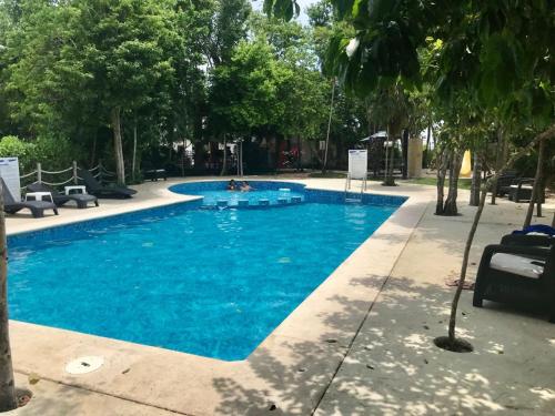 a large blue swimming pool with chairs and trees at Puerto Morelos - House to enjoy Riviera Maya in Puerto Morelos