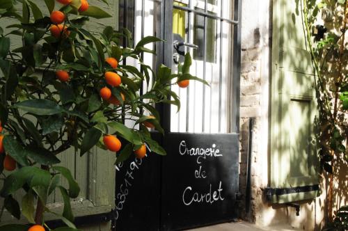 Κήπος έξω από το Orangerie de Cardet - Apartment L'Oranger