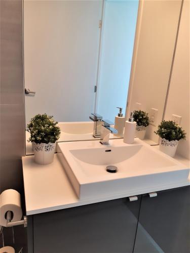 a bathroom with a sink with two potted plants on it at Cozy Skyline Condo in Downtown, across Canada Life Centre in Winnipeg