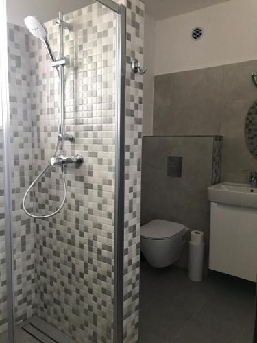 a bathroom with a shower with a toilet and a sink at Penzion Marie - Žumberk in Žumberk