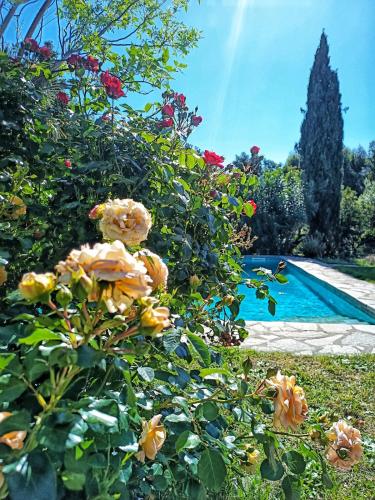 un jardin fleuri et une piscine dans l'établissement Les jardins de Foata, à Barbaggio