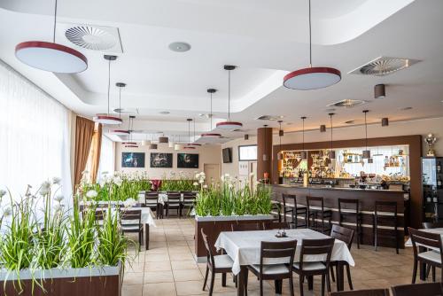 Εστιατόριο ή άλλο μέρος για φαγητό στο Hotel Olympionik