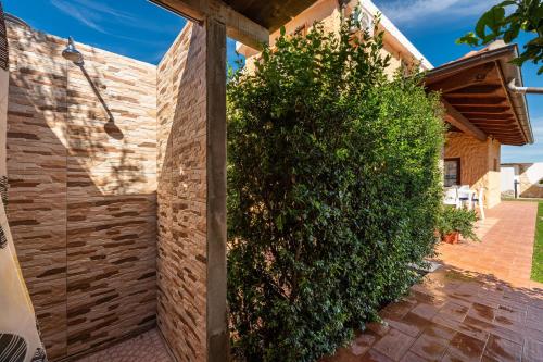a large green bush next to a house at Villa Gle in Quartu SantʼElena