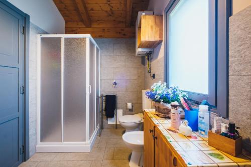 een badkamer met toilet en glazen douche bij Il casotto nelle Langhe in Farigliano