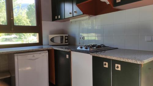 a small kitchen with a stove and a microwave at Mas Ca La Coixa in Tortellá