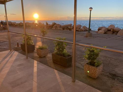 a group of potted plants sitting on the beach at sunset at Apartment Lanterna in Piran
