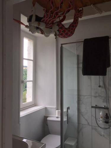 a bathroom with a shower and a toilet and a window at Le Couvent in Saint-Just-sur-Viaur