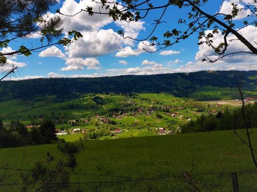 a green valley with a town in the distance at Apartamenty Równia 2 in Ustrzyki Dolne