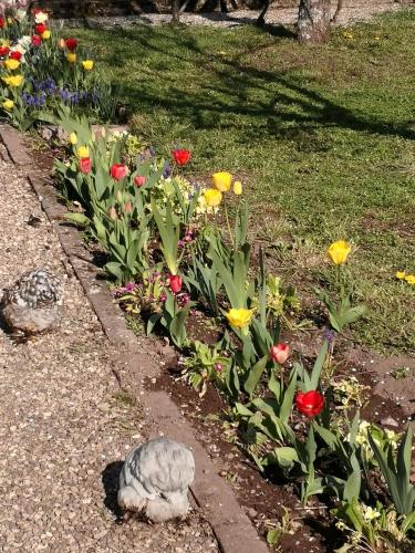 Zahrada ubytování Le Luspel