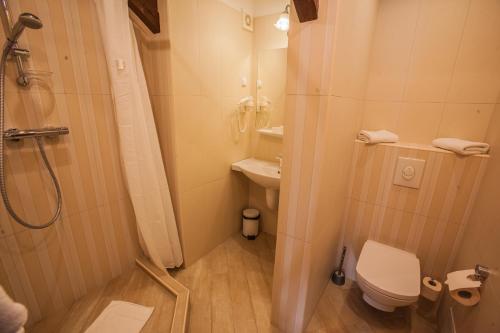 a bathroom with a shower and a toilet and a sink at Casa Wagner in Braşov