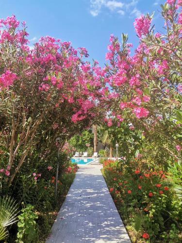 a garden with pink flowers and a pathway at Kiriş Garden Hotel in Kemer