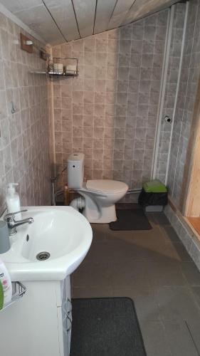 a bathroom with a white sink and a toilet at Namelis prie ežero in Miežoniai
