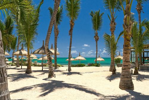 a group of palm trees on a beach with the ocean at Lagoon Attitude (Adults Only) in Cap Malheureux