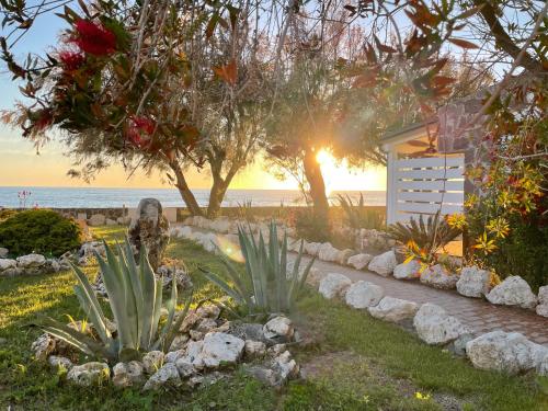 Le Mandrelle Beach Resort – Photos 5