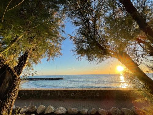 Le Mandrelle Beach Resort – Photos 2