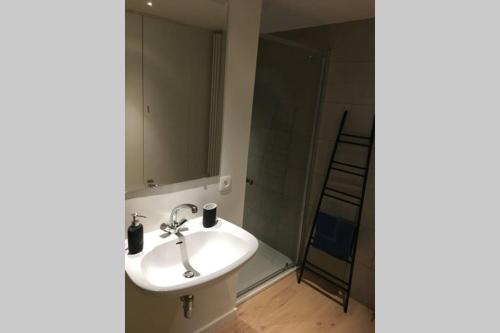 La salle de bains est pourvue d'un lavabo et d'un miroir. dans l'établissement StudiO2 Ename, dakappartement in Vlaamse Ardennen, à Audenarde