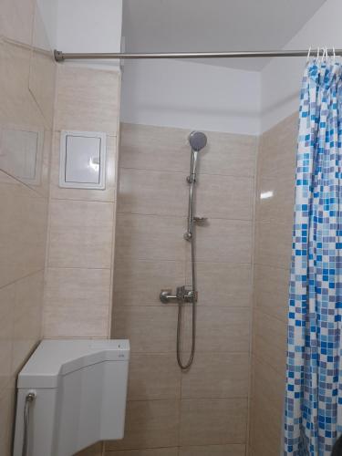 a bathroom with a shower with a toilet and a shower curtain at Garsoniera Saturn in Saturn