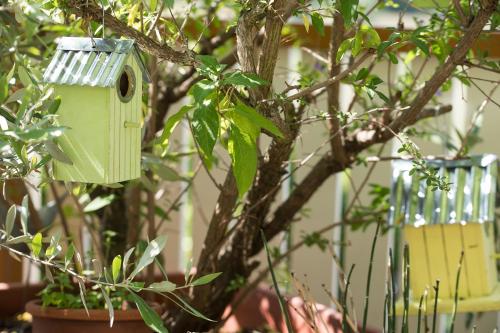 a green bird house hanging from a tree at Theresienhof in Petschnitzen