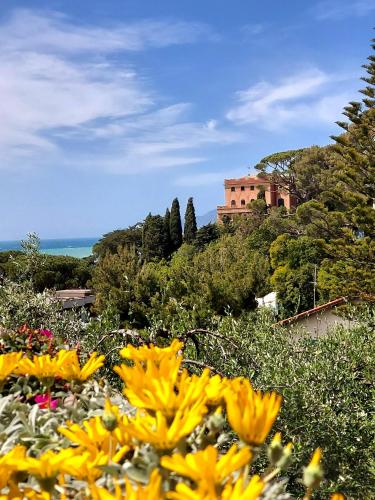 a field of yellow flowers in front of a building at IL LEUDO in Lavagna