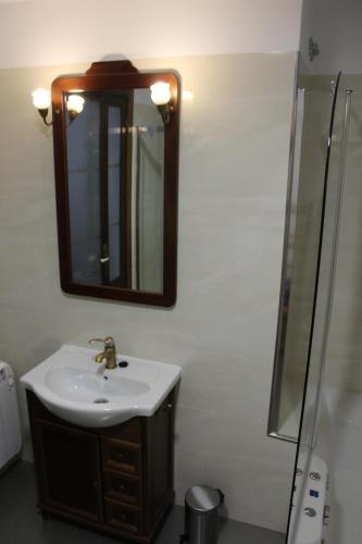 a bathroom with a sink and a mirror and a shower at Apartamentos rurales 'Los Soportales' in Tendilla